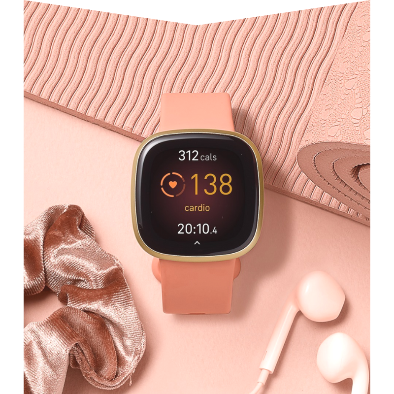 Fitbit Sport Chek