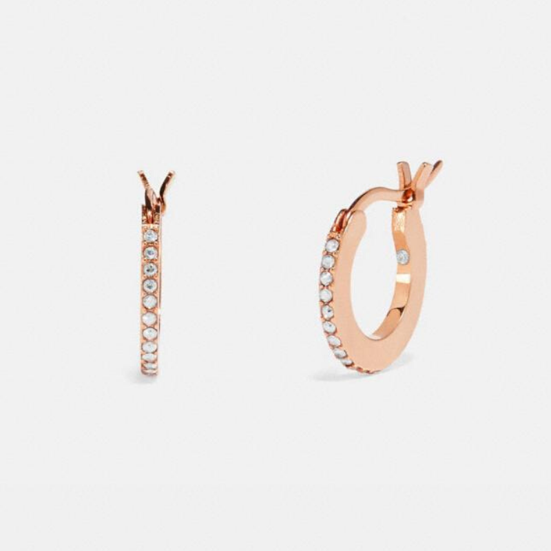 Pave hoop earrings from Coach